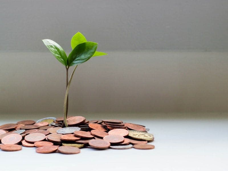 Free and transparent pricing